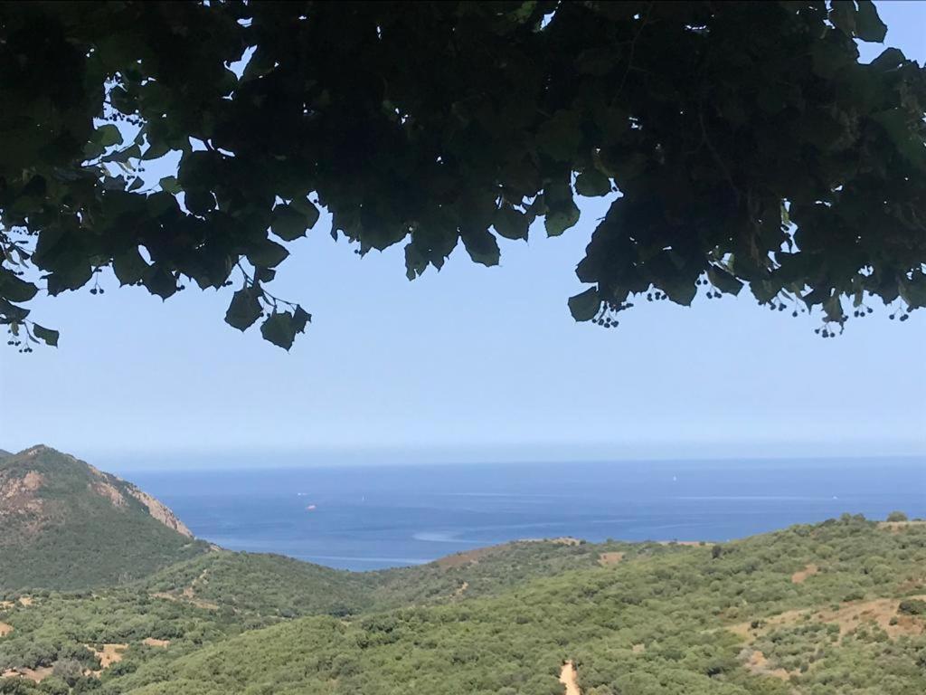 Les Terrasses De Scaglioli Villa Villanova Buitenkant foto