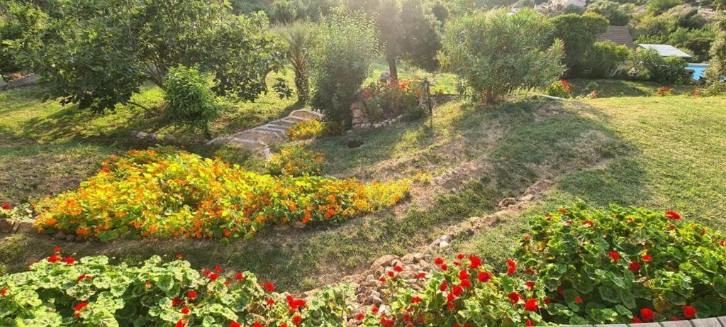 Les Terrasses De Scaglioli Villa Villanova Buitenkant foto