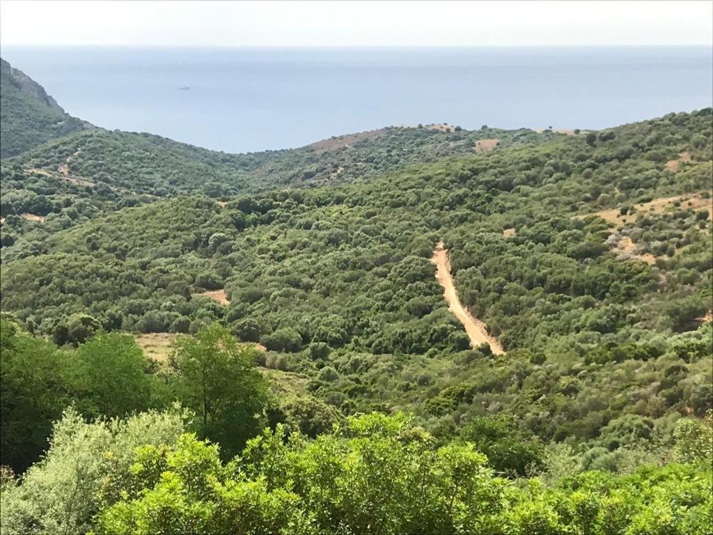 Les Terrasses De Scaglioli Villa Villanova Buitenkant foto
