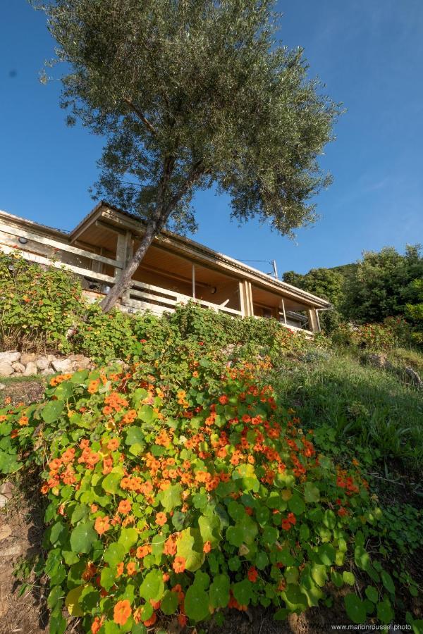 Les Terrasses De Scaglioli Villa Villanova Buitenkant foto